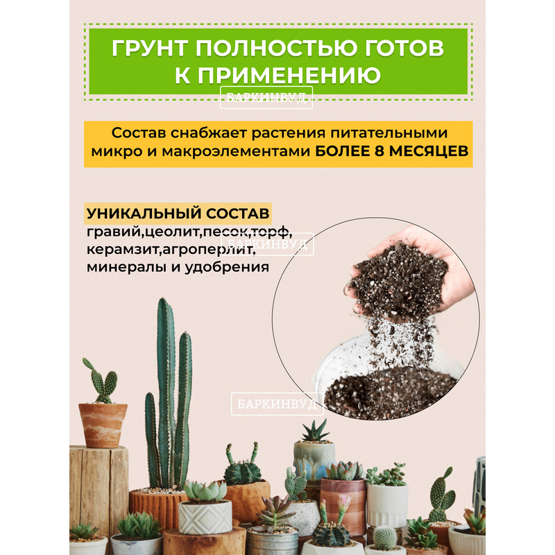 Грунт для суккулентов и кактусов Орхимания 3 кг